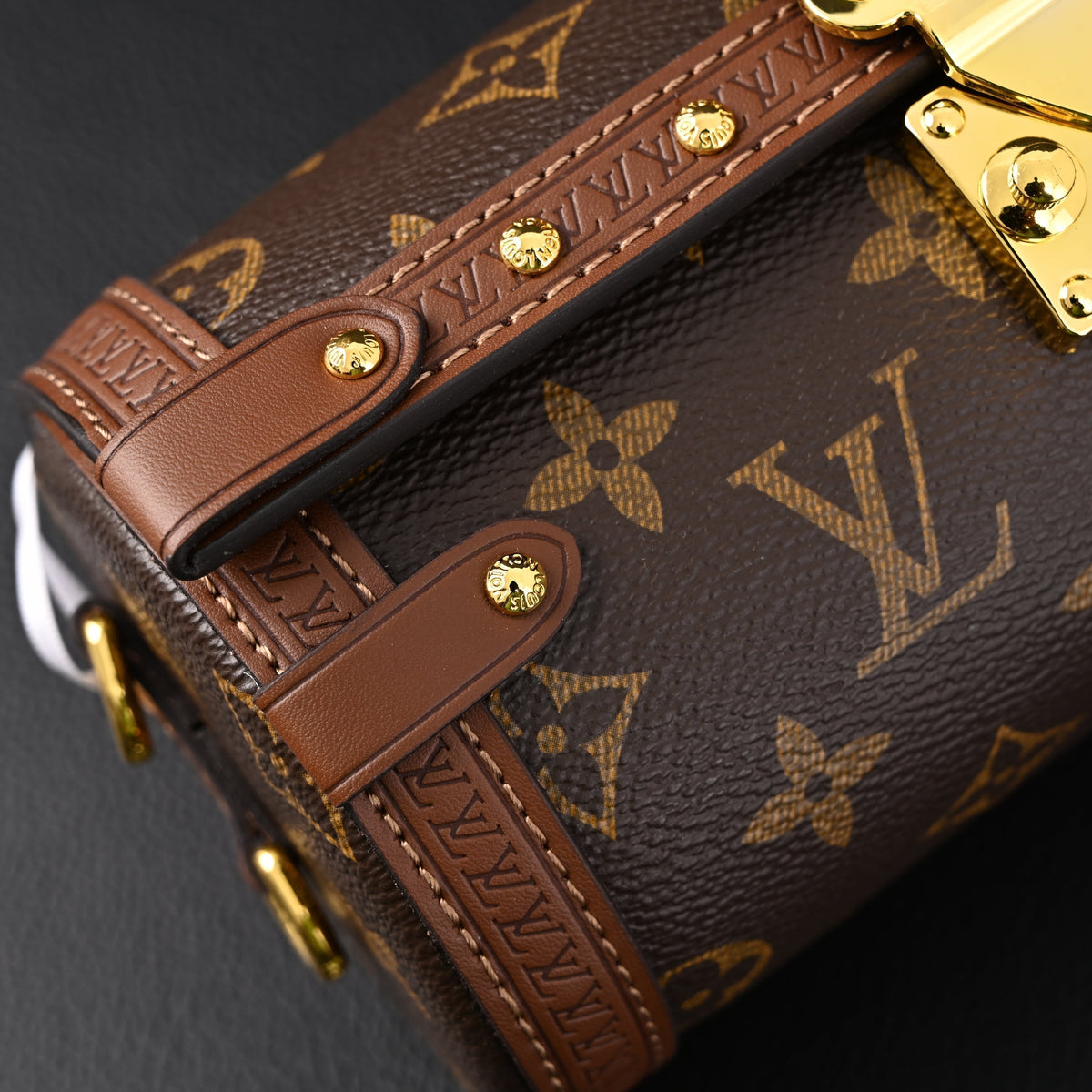Louis Vuitton Cannes Monogram Canvas Bag